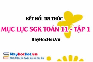 Mục lục SGK Toán 11 tập 1 Kết nối tri thức - Lý thuyết và bài tập Toán 11 tập 1 Kết nối tri thức